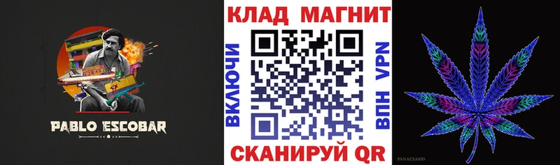 Наркошоп купить ГАШ  ЭКСТАЗИ  Меф мяу мяу  Конопля  Alpha PVP  Димитровград