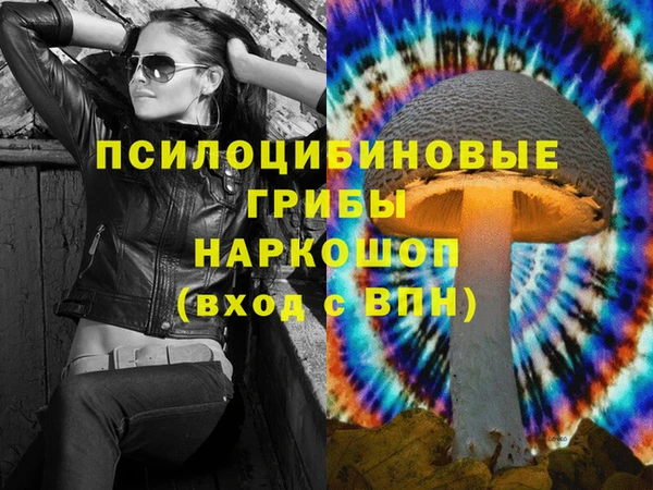 меф Новодвинск