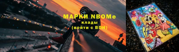 a pvp Новозыбков
