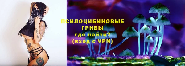 меф Новодвинск