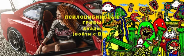 a pvp Новозыбков
