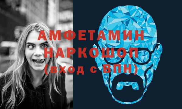 a pvp Новозыбков