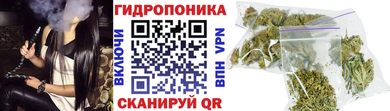 Купить закладки  Димитровград  Бошки Шишки тримм 